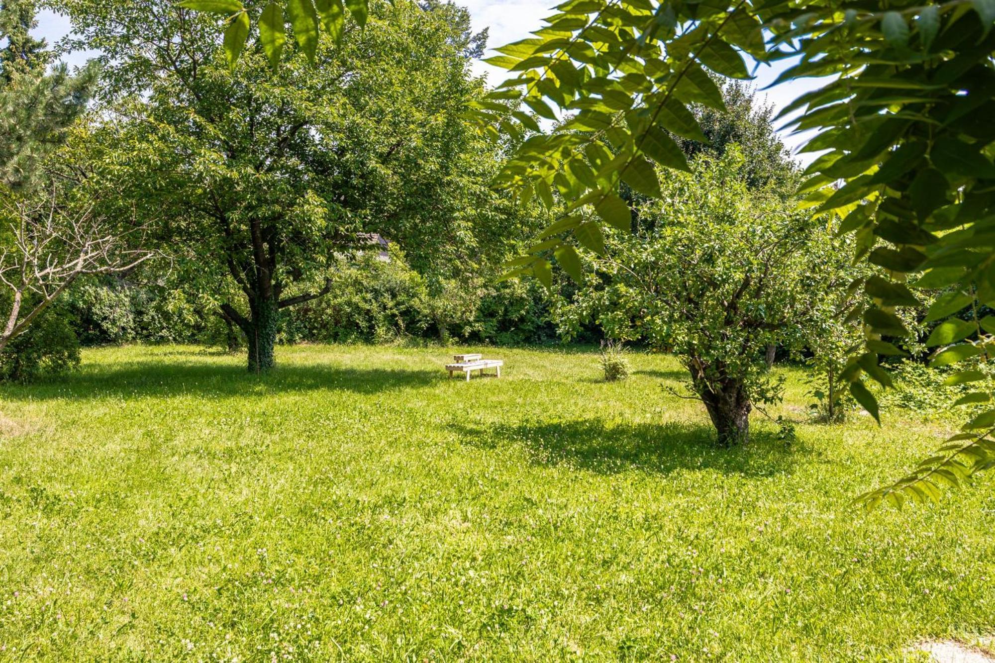 Comfy Rooms In Shared Villa With Terrace And Garden Wien Exterior foto
